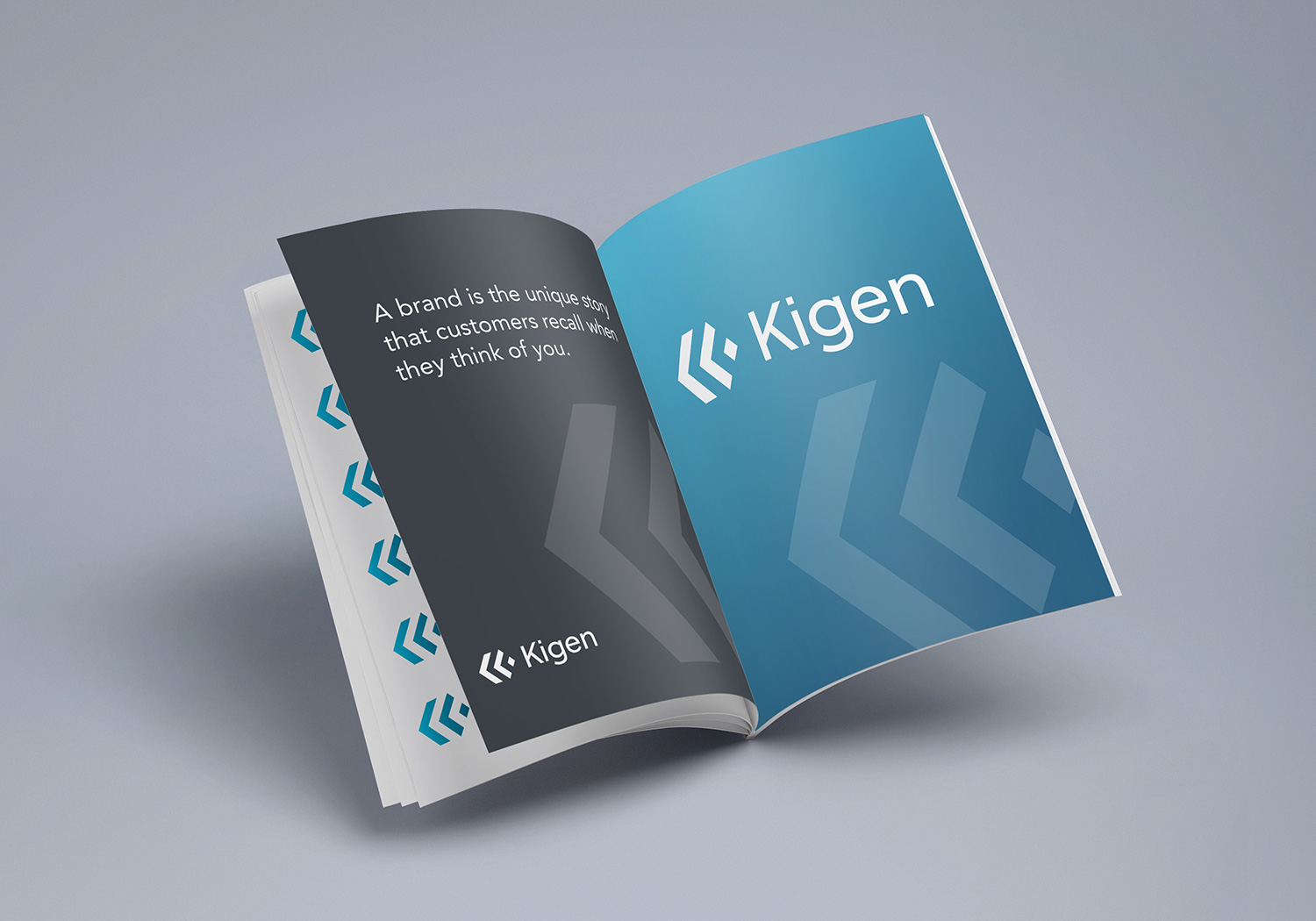 Kigen - Company Policies, Brand Guidelines and Terms of Use