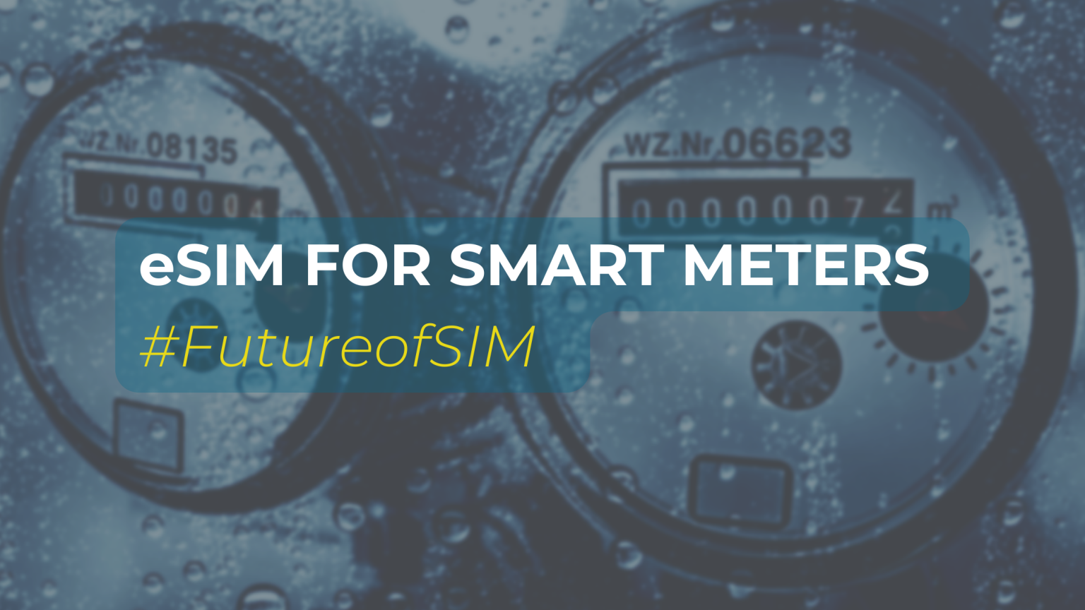 IoT For Smart Metering And Big Data - With ESIM For Secure Data