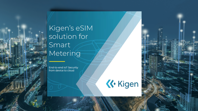 eSIM for smart meters