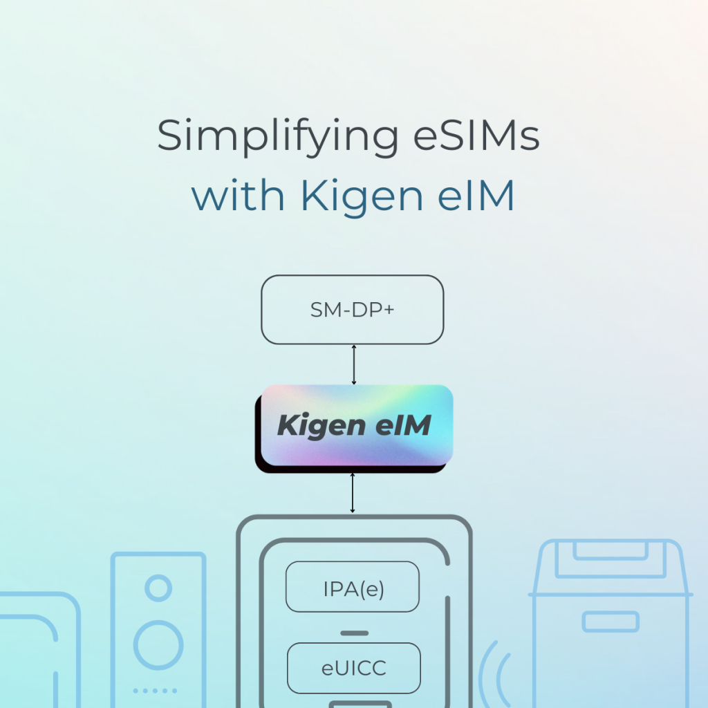 Kigen eIM-simplifying sims