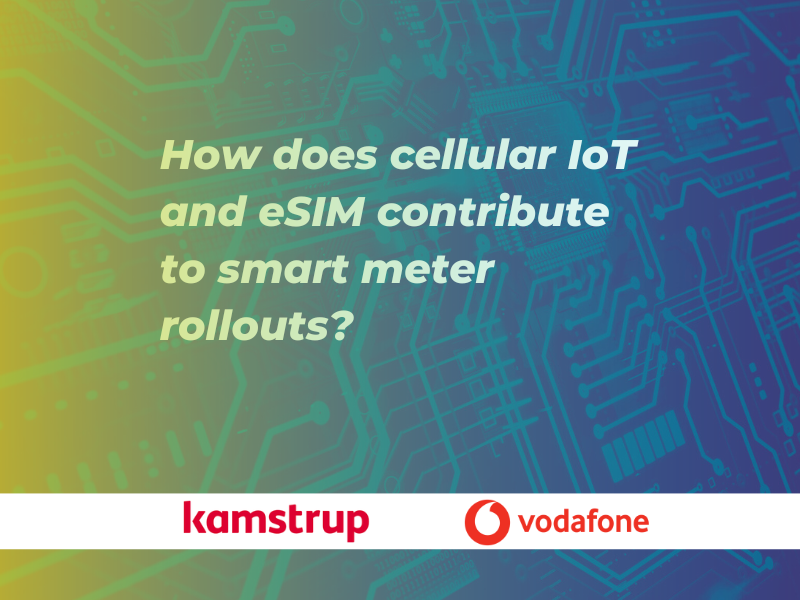 How does eSIM contribute to smart meter rollouts?